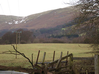 Grazings at Lower Mains, Devonside