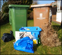 Green bin, brown bin and blue box
