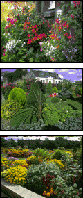 Garden montage