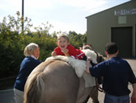Hippotherapy in action