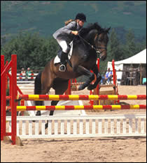 Showjumper