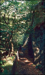 Woodland Park