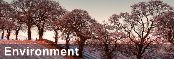 Environment