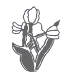 Primary Schools' Support Service badge