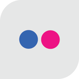 Flickr Icon