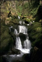 Waterfall in Alva Glen