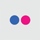 Flickr Icon